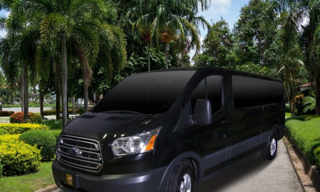 How To Buy A Luxury Van