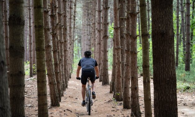 List Of Downhill Bike Parks In The US