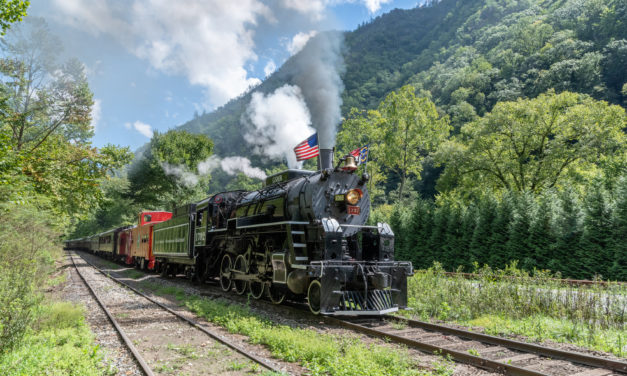 Great Smoky Mountains Railroad : Scenic Train Excursions